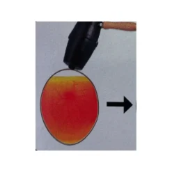 Mire Oeufs électrique Avec Poignée -Promos Vivariux Magasin mire oeufs electrique avec poignee 24509 kinlys permet visionner facilement le developpement de lembryon a travers la coquilleli 3