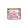 Mother & Babycat Ultra Soft Mousse 12x195gr - Royal Canin -Promos Vivariux Magasin mother babycat ultra soft mousse 12x195gr royal canin 1259806 12x royal canin aliment complet pour la chatte et ses chatons chat