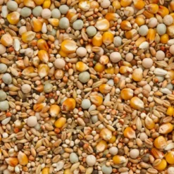 Mue Méthionine Actif 25kg - Beyers -Promos Vivariux Magasin mue methionine actif 25kg beyers 004485 beyers beyers mue methionine actifaliment mue pour pigeons avec mais cribbs francais et 1 1