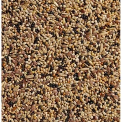 N°34 Volière 20kg - Deli Nature 5 N°34 Volière 20kg - Deli Nature -Promos Vivariux Magasin n34 voliere 20kg deli nature 006534 deli nature est un melange contenant une grande variete de graines afin que chaque oiseau y 1 1