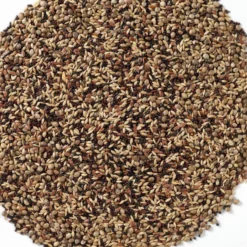 N°48 Tarins & Chardonnerets 20kg - Deli Nature 5 N°48 Tarins & Chardonnerets 20kg - Deli Nature -Promos Vivariux Magasin n48 tarins chardonnerets 20kg deli nature 006548 deli nature est un melange contenant une fraction elevee de graines noires grai 1