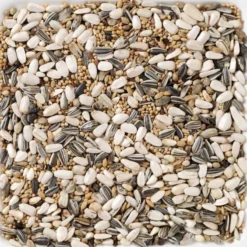 N°59 Grandes Perruches Standard 15kg - Deli Nature 5 N°59 Grandes Perruches Standard 15kg - Deli Nature -Promos Vivariux Magasin n59 grandes perruches standard 15kg deli nature 006459 deli nature est un melange dune grande variete pour grandes perruches ing 1