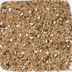 N°68 Grandes Perruches Sans Tournesols 20kg - Deli Nature 5 N°68 Grandes Perruches Sans Tournesols 20kg - Deli Nature -Promos Vivariux Magasin n68 grandes perruches sans tournesols 20kg deli nature 006468 deli nature est un melange sans graines de tournesols et previent 1 1