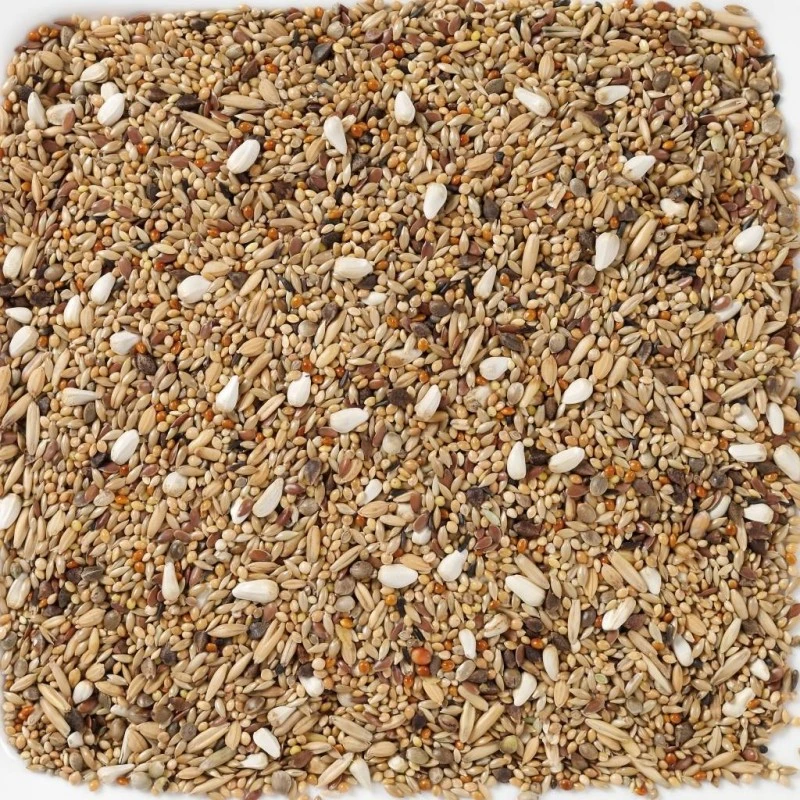 N°68 Grandes Perruches Sans Tournesols 20kg - Deli Nature 4 N°68 Grandes Perruches Sans Tournesols 20kg - Deli Nature – Image 2