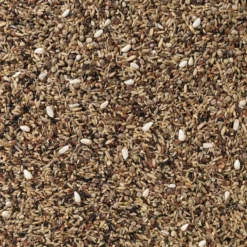 N°83 Oiseaux Indigènes Sans Navettes 15kg - Deli Nature -Promos Vivariux Magasin n83 oiseaux indigenes sans navettes 15kg deli nature 006583 deli nature est un melange de base pour les grandes especes doiseaux 1