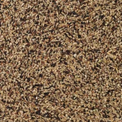 N°91 Oiseaux Indigènes 20kg - Deli Nature -Promos Vivariux Magasin n91 oiseaux indigenes 20kg deli nature 006591 deli nature est un melange de base plus fin pour les petites especes doiseaux euro 1