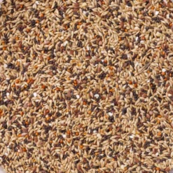 N°92 Pinsons Sport 20kg - Deli Nature -Promos Vivariux Magasin n92 pinsons sport 20kg deli nature 006592 deli nature est un melange adapte aux besoins de votre pinson pendant la periode sport 1