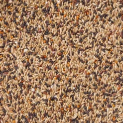 N°95 Pinsons Repos 20kg - Deli Nature -Promos Vivariux Magasin n95 pinsons repos 20kg deli nature 006595 deli nature est un melange ideal pour la periode de repos des pinsons ingredients alpi 1