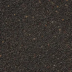 Navette Canada 20kg - Duvo -Promos Vivariux Magasin navette canada 20kg duvo 479 duvo navette canada 20kg duvo 1