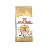 Norwegian Forest Adult 2kg - Royal Canin -Promos Vivariux Magasin norwegian forest adult 2kg royal canin 1250931 royal canin aliment complet et equilibre pour chats special chats adultes des for