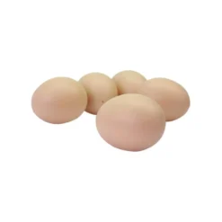 Oeuf De Poule En Plastique Solide 15pcs