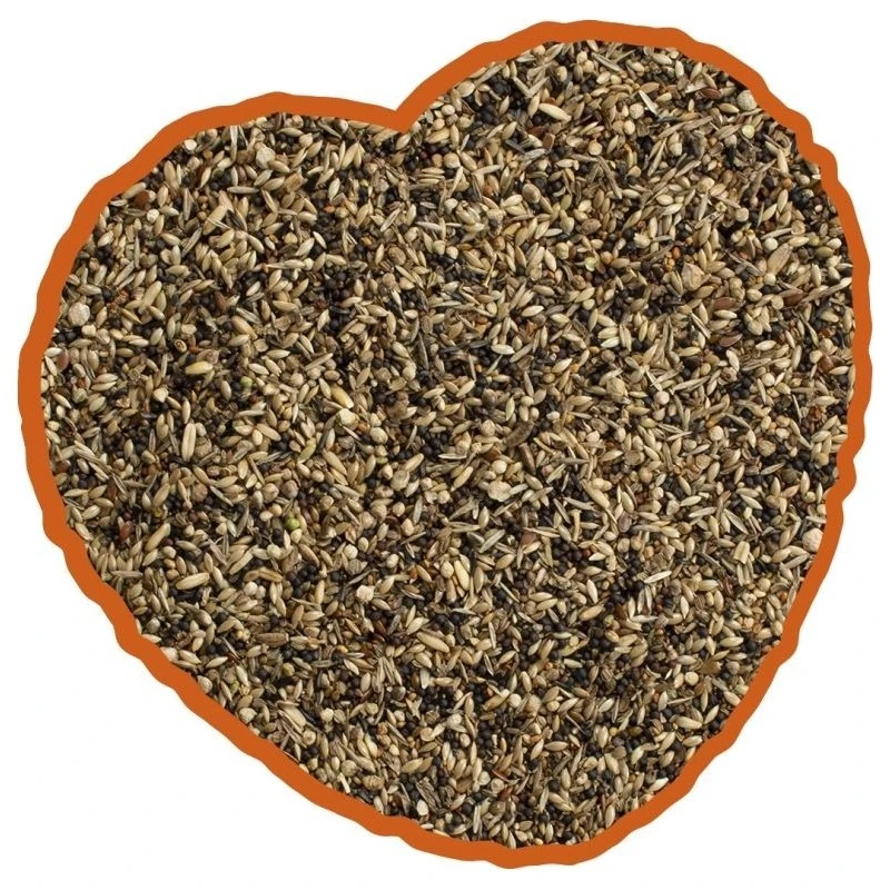 Oiseau Indigène Mix 4kg - Duvo+ 4 Oiseau Indigène Mix 4kg - Duvo+ – Image 2