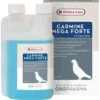 Oropharma Carmine Mega Forte 250ml - Préparation Liquide De Carnitine Enrichie De Choline -Promos Vivariux Magasin oropharma carmine mega forte 250ml preparation liquide de carnitine enrichie de choline 460079 versele laga preparation de l car