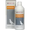 Oropharma Dextrotonic 500ml - Complément énergétique - Pigeons -Promos Vivariux Magasin oropharma dextrotonic 500ml complement energetique pigeons 480514 versele laga complement energetiquele tonique ideal pour pigeo