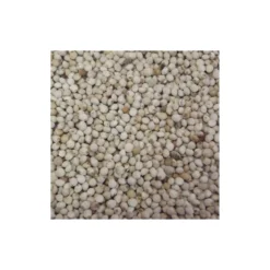 Deli Nature Perilla Blanc Au Kg - Ornibird -Promos Vivariux Magasin perilla blanc au kg ornibird 003736 kg deli nature les graines de perilla contiennent environ 25 de lipides dont 65 dacide alpha 3