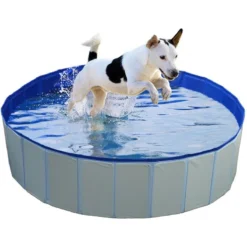 Piscine Pour Chien 80x30cm - Duvo+ 7 Piscine Pour Chien 80x30cm - Duvo+ -Promos Vivariux Magasin piscine pour chien 80x30cm duvo 11760 duvo specifications piscine durable adaptee aux chiens le rafraichissement ideal durant le 1
