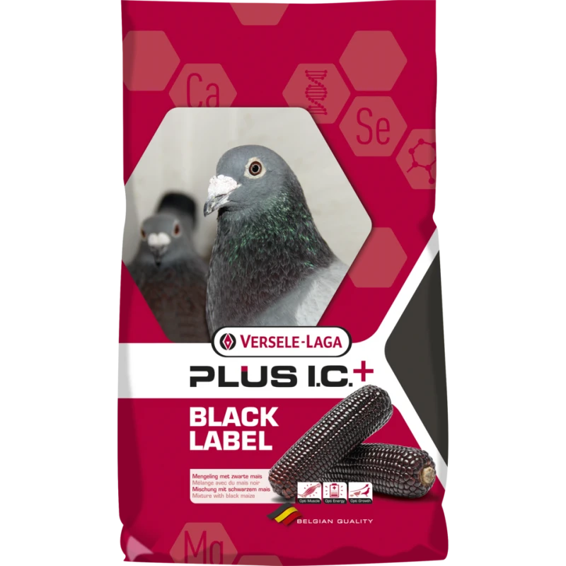 VERSELE-LAGA Plus I.C.⁺ Black Label Black Label Superstar 20kg - Mélange Complet De Sport, Avec Du Maïs Noir Pour Le Veuvage 3 VERSELE-LAGA Plus I.C.⁺ Black Label Black Label Superstar 20kg - Mélange Complet De Sport, Avec Du Maïs Noir Pour Le Veuvage