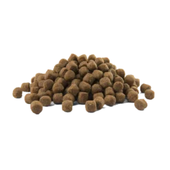 Prime Puppy All Breeds Sans Céréales Au Poulet 12,5kg - Opti Life -Promos Vivariux Magasin prime puppy all breeds sans cereales au poulet 125kg opti life 433067 opti life nourriture pour chiens sans cereales poulet chio 1