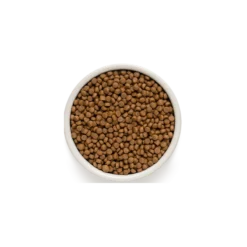 Puppy - Agneau Et Dinde 10kg - Grandorf 5 Puppy - Agneau Et Dinde 10kg - Grandorf -Promos Vivariux Magasin puppy agneau et dinde 10kg grandorf gddd0110 grandorf pour les chiots ages de 3 semaines ou plus les chiennes enceintes et allai 1