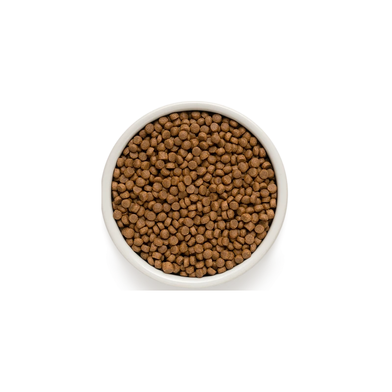 Puppy - Agneau Et Dinde 10kg - Grandorf 4 Puppy - Agneau Et Dinde 10kg - Grandorf – Image 2