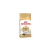 Ragdoll 10kg - Royal Canin -Promos Vivariux Magasin ragdoll 10kg royal canin 1250938 royal canin ragdoll 10kg royal canin
