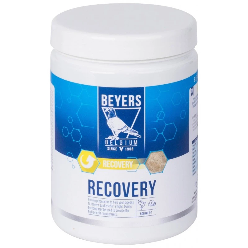 Recovery (préparation à Base De Protéines) 600gr - Beyers Plus 3 Recovery (préparation à Base De Protéines) 600gr - Beyers Plus