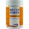 Recup Forte (récuperation) 300gr - Schroeder - Tollisan -Promos Vivariux Magasin recup forte recuperation 300gr schroeder tollisan 74009 schroeder tollisan super produit pour la recuperationdescription du prod