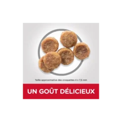 Science Plan Aliment Pour Chien Adulte Small & Mini Au Poulet 1,5kg - Hill's -Promos Vivariux Magasin science plan aliment pour chien adulte small mini au poulet 15kg hills 604232 hills science plan aliment pour chien adulte small 1