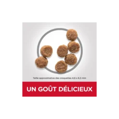 Science Plan Aliment Pour Chiot Small & Mini Au Poulet 6kg - Hill's 7 Science Plan Aliment Pour Chiot Small & Mini Au Poulet 6kg - Hill's -Promos Vivariux Magasin science plan aliment pour chiot small mini au poulet 6kg hills 605527 hills hills science plan aliment pour chiot small mini au 1 1