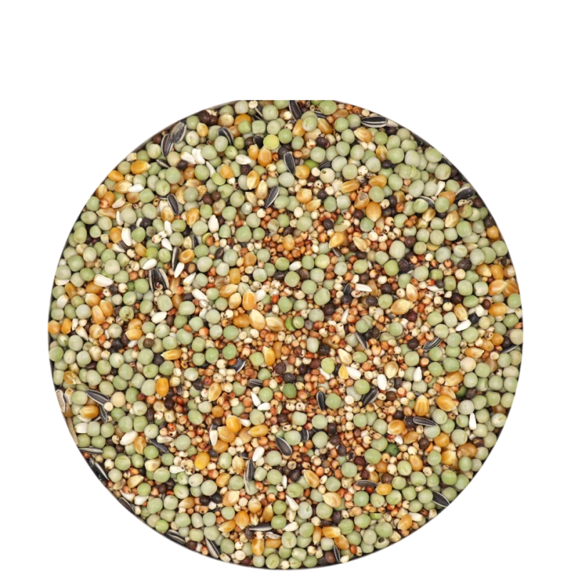 Show Standard Perles Bavaroises 20kg -Mélange De Base Pour Pigeons D'ornement Avec Maïs, Sans Blé 4 Show Standard Perles Bavaroises 20kg -Mélange De Base Pour Pigeons D'ornement Avec Maïs, Sans Blé – Image 2