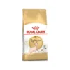 Sphynx Adult 2kg - Royal Canin -Promos Vivariux Magasin sphynx adult 2kg royal canin 1250902 royal canin aliment complet et equilibre pour chats special chats adultes sphynx a partir d