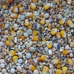 Sport Jaune WM 20kg - Witte Molen -Promos Vivariux Magasin sport jaune wm 20kg witte molen 654051 witte molen specifications selection variee dingredients tres appetissant nourriture adap 1