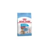 Starter Mother & Babydog Medium 4kg - Royal Canin 2 Starter Mother & Babydog Medium 4kg - Royal Canin -Promos Vivariux Magasin starter mother babydog medium 4kg royal canin 1231952 royal canin aliment completes pour chienne en periode de gestation ou de l