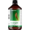 Taubengold (plumage Pendant La Mue) 1L - Röhnfried - Dr Hesse Tierpharma GmbH & Co. KG -Promos Vivariux Magasin taubengold plumage pendant la mue 1l rohnfried dr hesse tierpharma gmbh co kg 79002 rohnfried dr hesse tierpharma gmbh co tauben