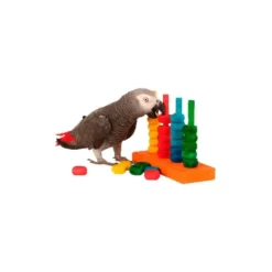 The Teacher En Bois - Zoo-Max