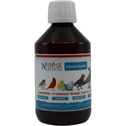 Vitinocholine Liquide 250ml - Idéal Nutricare