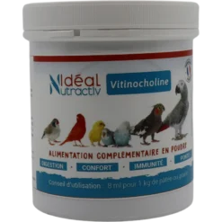 Vitinocholine Poudre 300gr - Idéal Nutricare