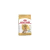 Yorkshire Terrier Adult 8+ 1,5kg - Royal Canin -Promos Vivariux Magasin yorkshire terrier adult 8 15kg royal canin 1238104 royal canin aliment pour yorkshire terrier des 8 ans les croquettes royal can